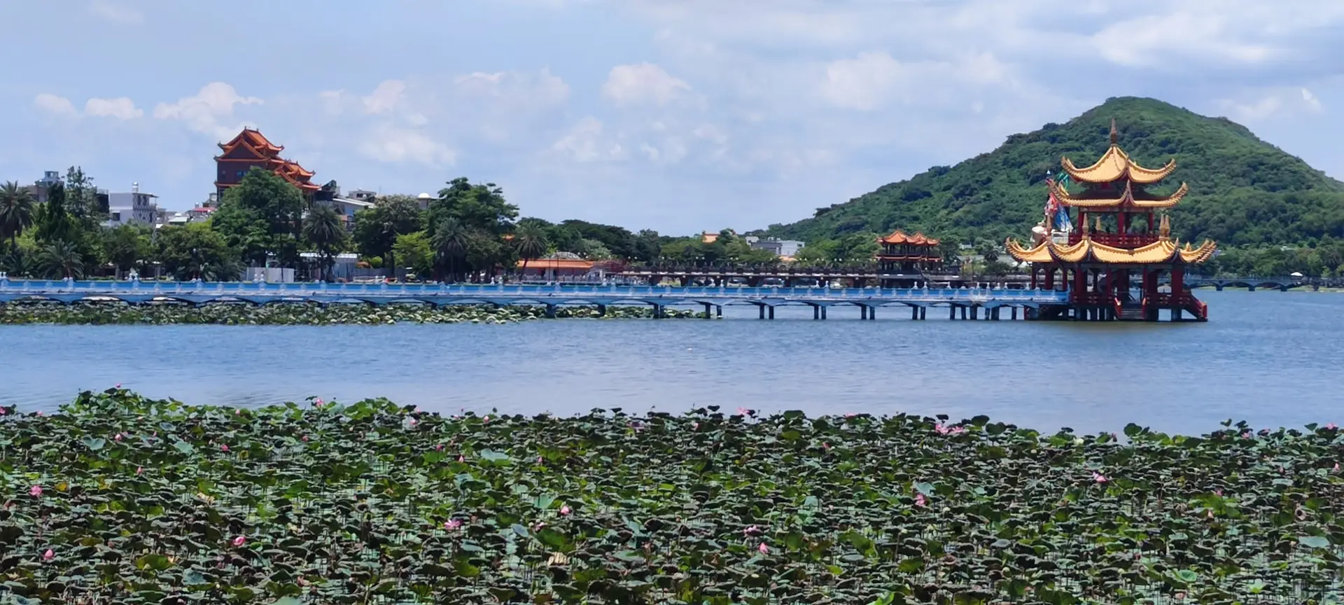 Lotus Pond